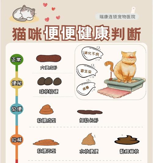 便秘后食用猫粮导致拉稀的原因是什么？