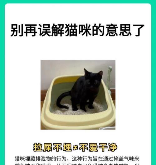 猫咪不理人不接受猫粮是为什么？