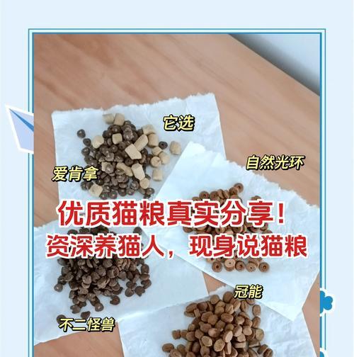 猫咪不理人不接受猫粮是为什么？