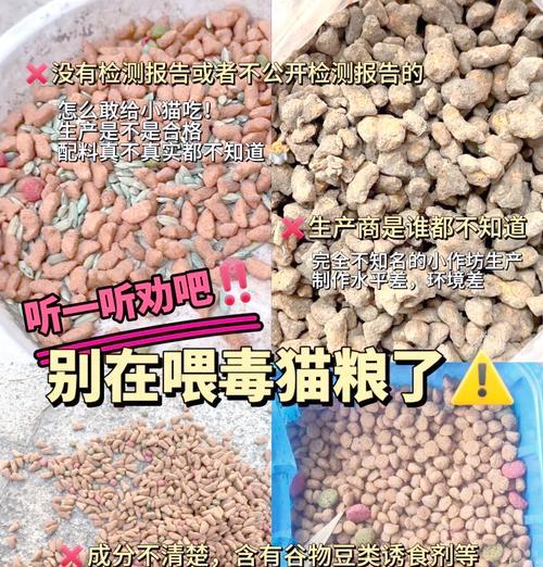 吃猫粮会导致人发胖吗？如何避免这种情况？