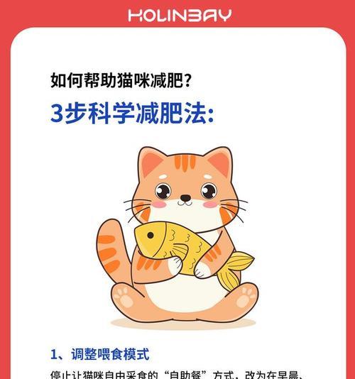 吃猫粮会导致人发胖吗？如何避免这种情况？