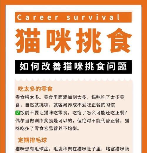 如何解决猫咪挑食猫粮的问题？