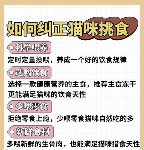 如何解决猫咪挑食猫粮的问题？