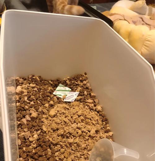 如何制作自制猫粮？自制猫粮的步骤是什么？