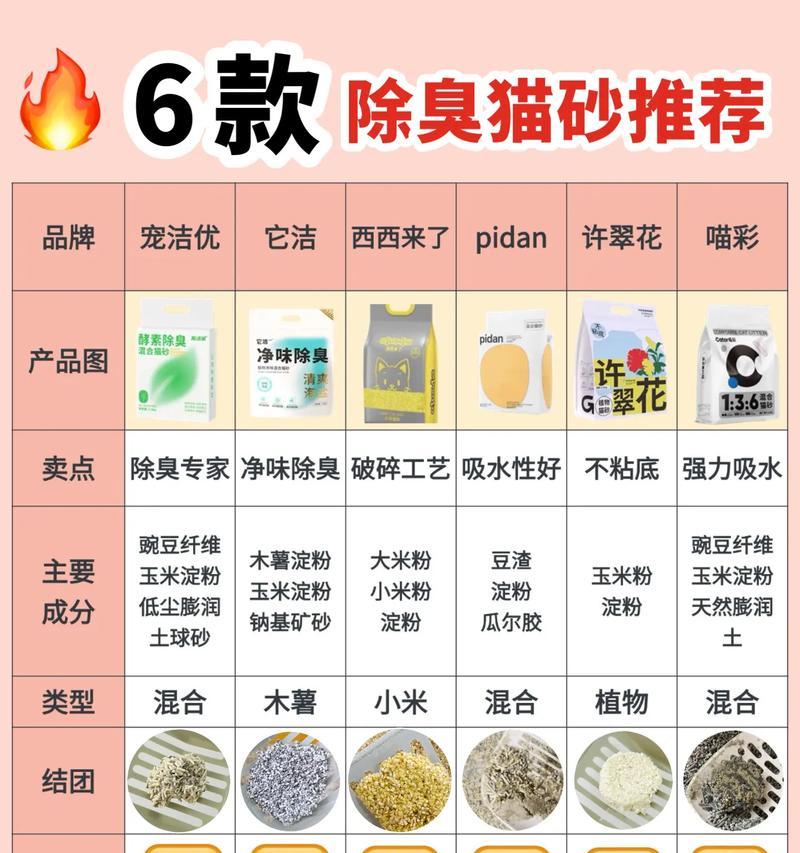 如何零元购买小猫并获得猫粮猫砂？有什么优惠活动？
