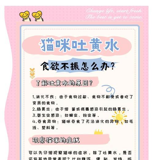 猫吐黄水加猫粮怎么办？需要服用什么药物？