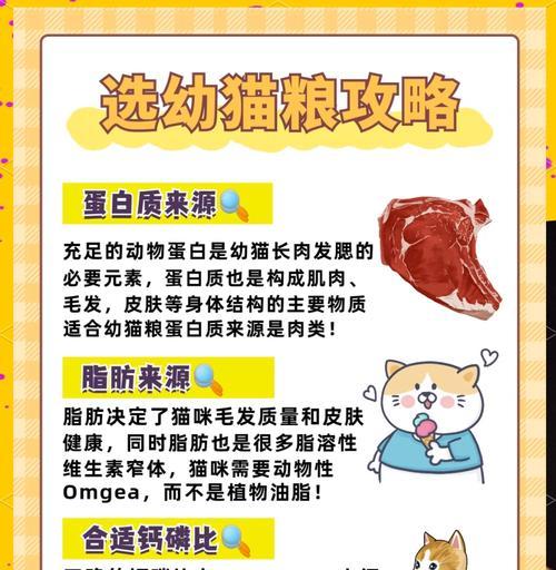 幼猫是否需要吃专门的幼猫粮？幼猫粮对成长有何益处？