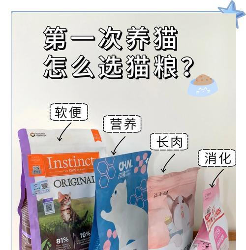 幼猫是否需要吃专门的幼猫粮？幼猫粮对成长有何益处？