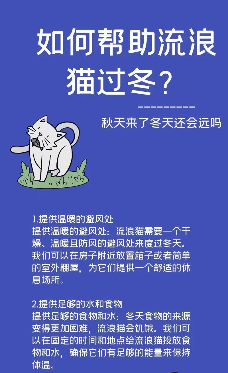 如何在冬季为流浪猫长时间准备猫粮？