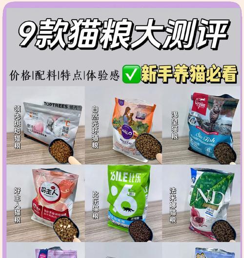 小猫适合哪种类型的猫粮？
