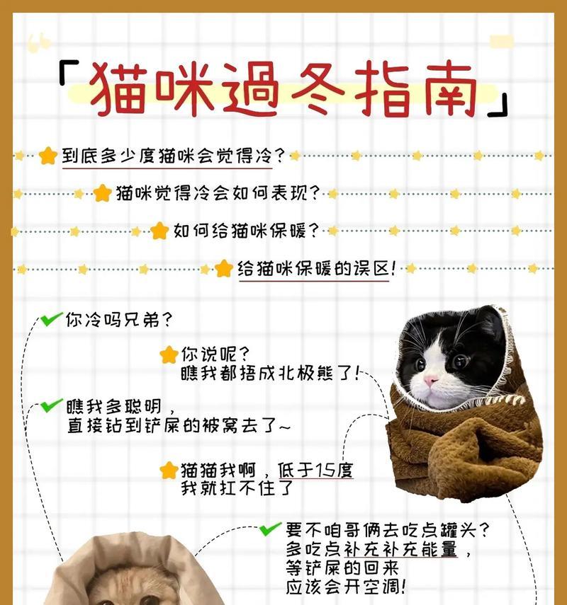 冬季如何正确打窝以保持猫粮新鲜？