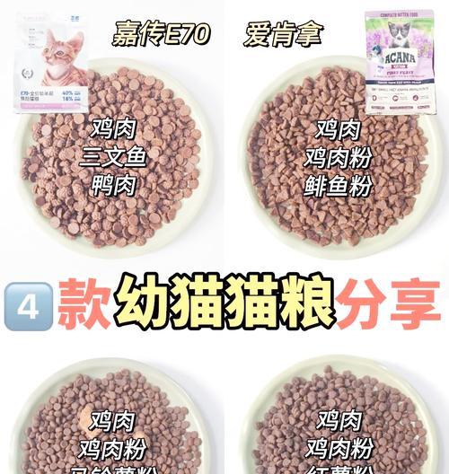 北美幼猫消化不良时应选择哪种猫粮？