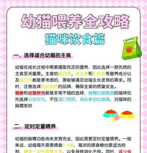幼猫如何正确喂食成猫猫粮？幼猫饮食管理的要点是什么？
