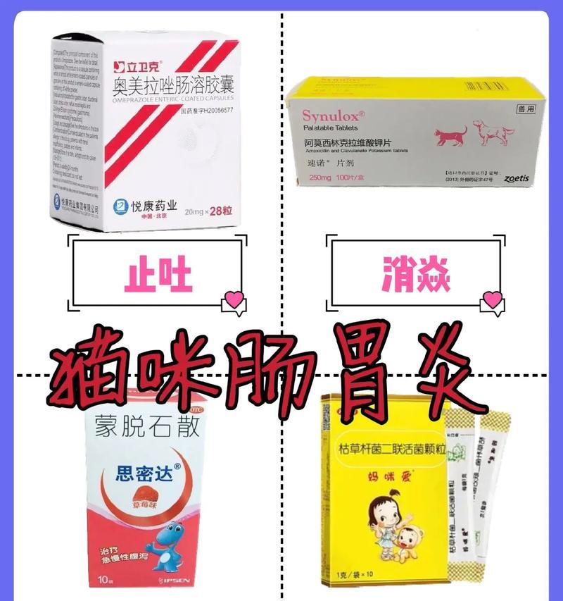 猫不吃猫粮闹肚子吃什么药？猫咪消化不良时应如何处理？