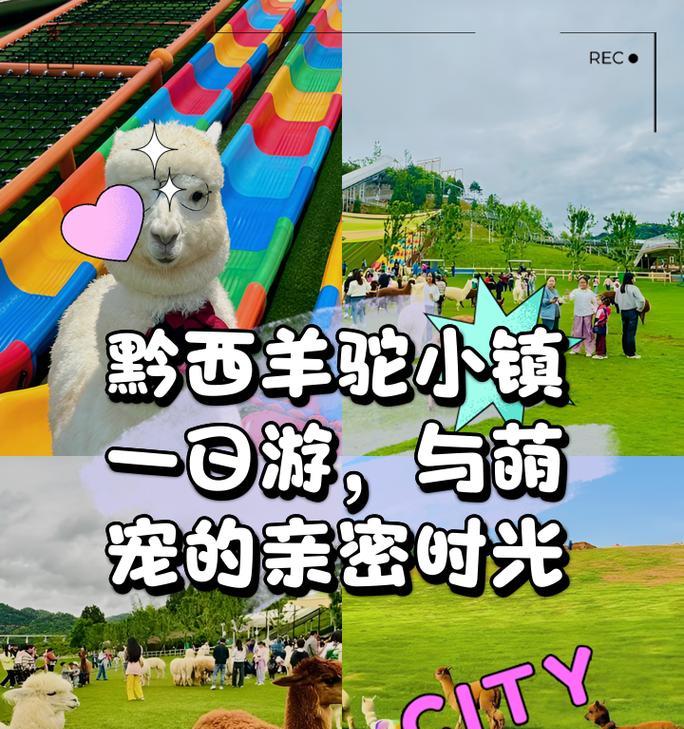羊驼小镇漂流路线有哪些选择？