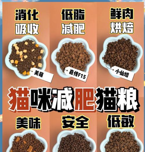 空中猫粮对猫的健康有何影响？