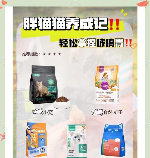 什么情况下应该给猫吃软猫粮？软猫粮的好处是什么？