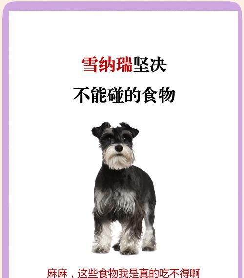 4个月雪纳瑞补钙的正确剂量是多少？