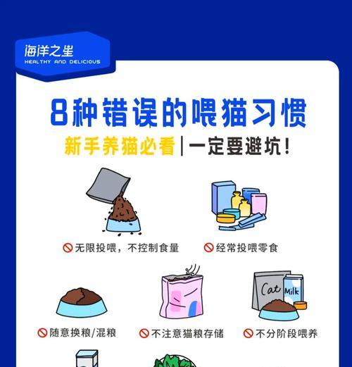 小猫拒绝猫粮时应该怎么办？强行喂食有哪些风险？