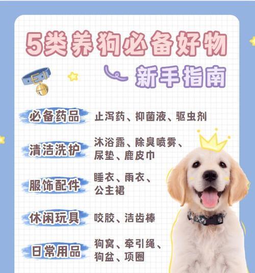 猫粮餐盒种草技巧是什么？如何种植？