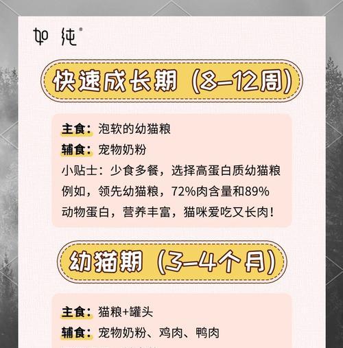 奶猫吃猫粮需要磨碎吗？正确的喂食方法是什么？