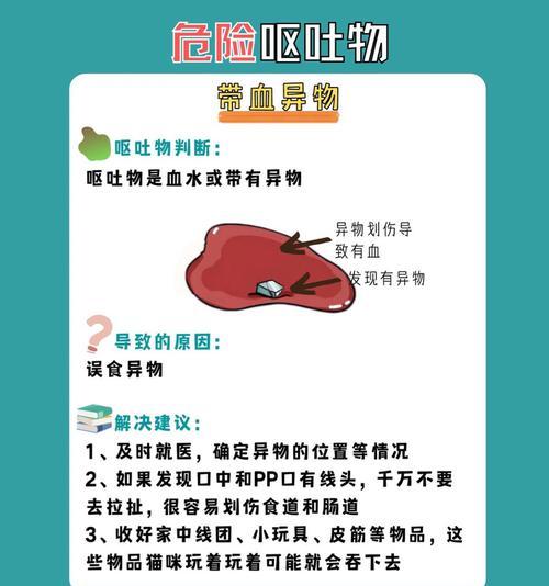 猫整晚呕吐猫粮该如何处理？