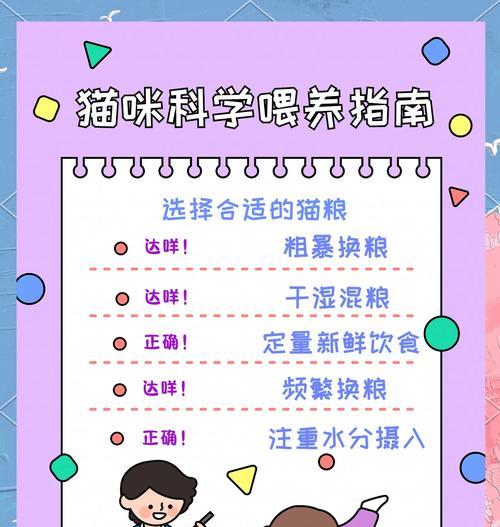 猫舍怎么喂猫仔的猫吃猫粮？有哪些喂养技巧？