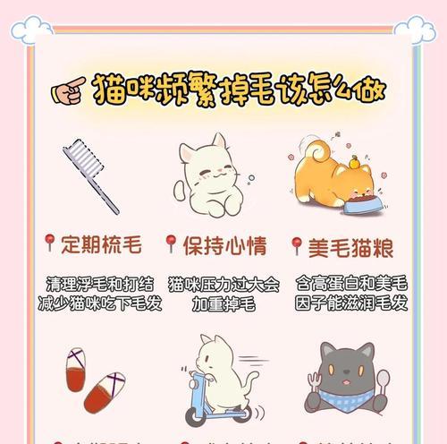 猫咪毛发脱落怎么办？哪种猫粮有助于减少掉毛？