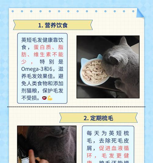 猫咪毛发脱落怎么办？哪种猫粮有助于减少掉毛？