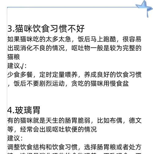 猫换粮吐的厉害正常吗吃什么药？猫咪换粮的注意事项是什么？