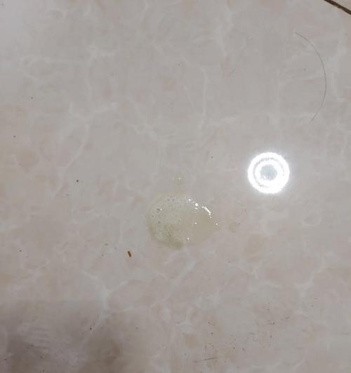 猫换粮吐的厉害正常吗吃什么药？猫咪换粮的注意事项是什么？