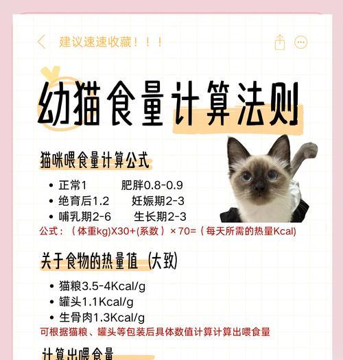 猫吃用爪子猫粮怎么办？如何训练猫咪正确进食？