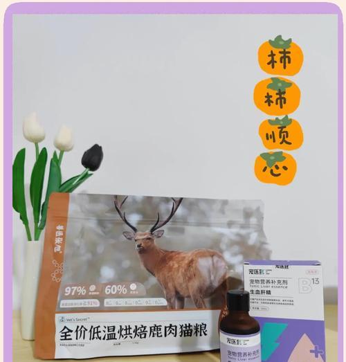 猫咪怀孕期间应吃什么猫粮？