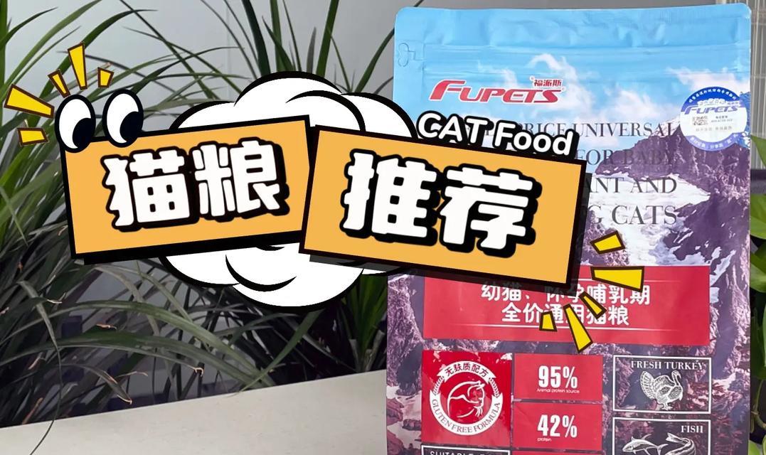 猫咪怀孕期间应吃什么猫粮？