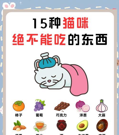 猫咪只吃猫粮不吃其他食物怎么办？如何调整饮食习惯？