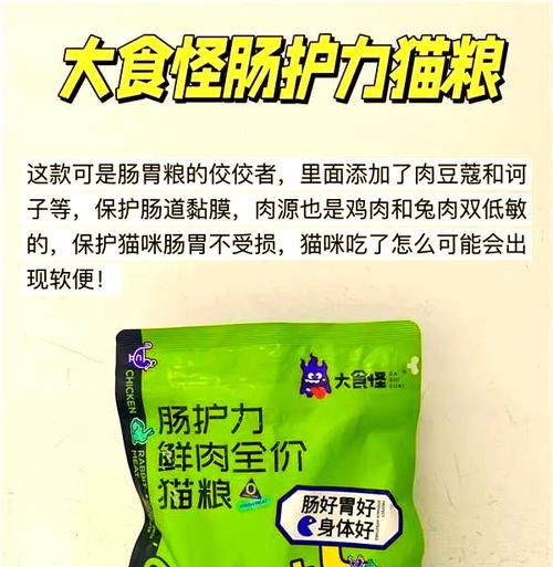 猫粮误入支气管需用什么药物治疗？