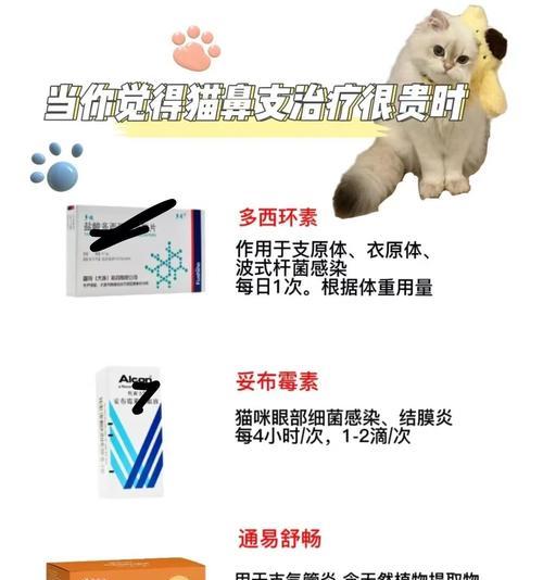 猫粮误入支气管需用什么药物治疗？
