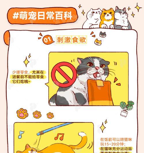 边吃猫粮边害怕的猫怎么办？如何帮助猫咪克服进食时的恐惧？