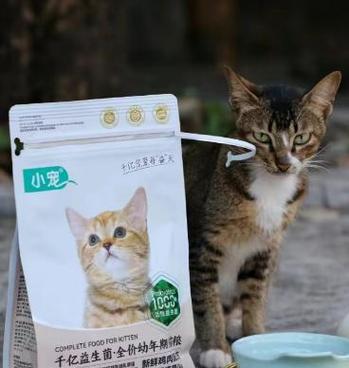 猫咪误食蚂蚁咬过的猫粮可能产生的问题是什么？