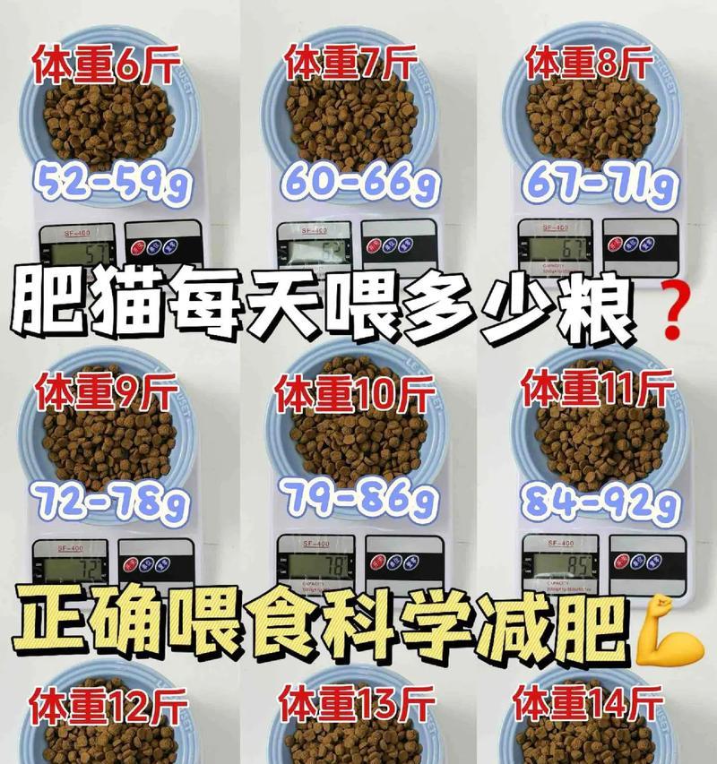 绝育后猫咪发胖应喂哪种猫粮？如何控制体重？