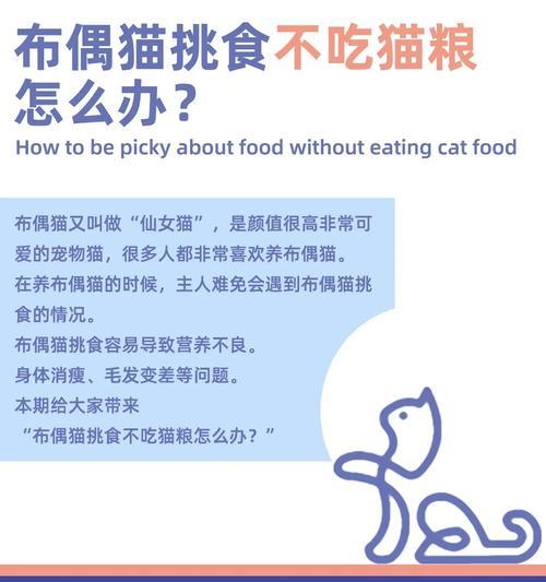 猫不吃猫粮肚子饿扁了怎么办？如何解决？