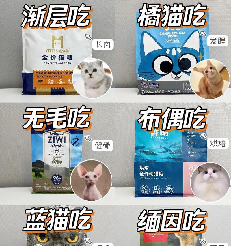 有猫粮却只吃新的猫粮怎么办？如何让猫适应旧猫粮？
