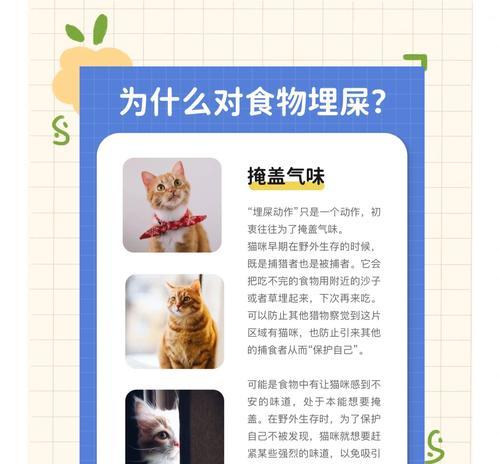 猫放进猫粮里死亡的原因是什么？