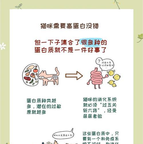 猫放进猫粮里死亡的原因是什么？