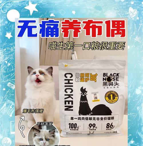 布偶猫试吃成猫猫粮的适应性及注意事项是什么？