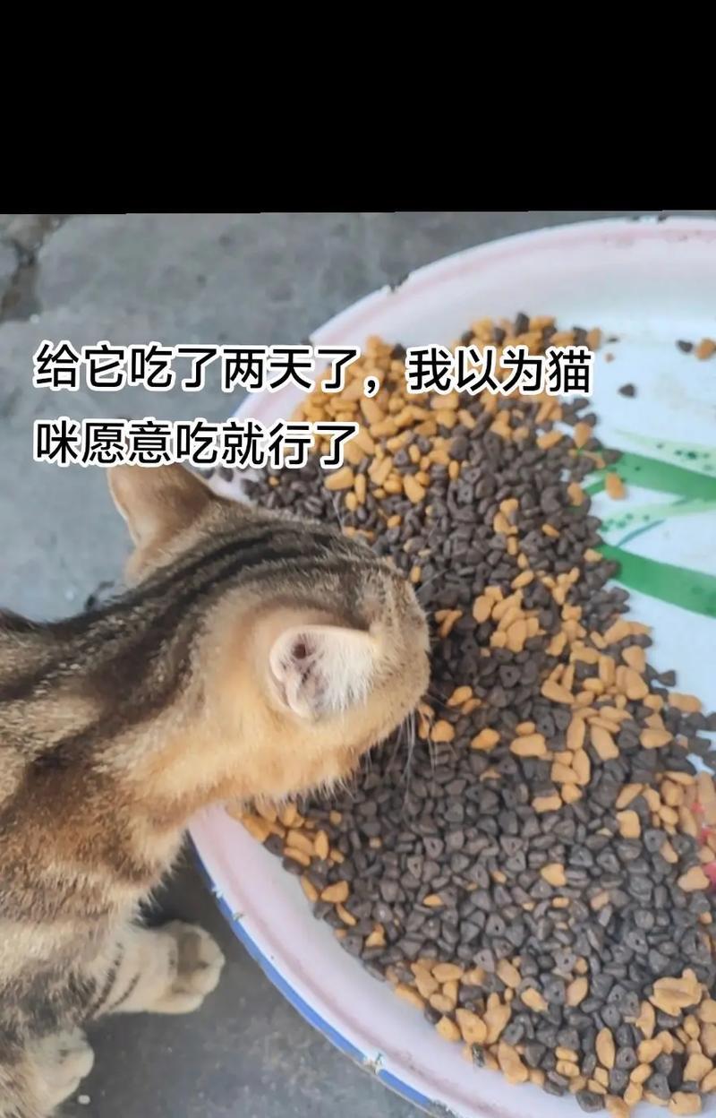 猫吃猫粮吃到粑粑怎么回事？这是否是猫粮的问题？