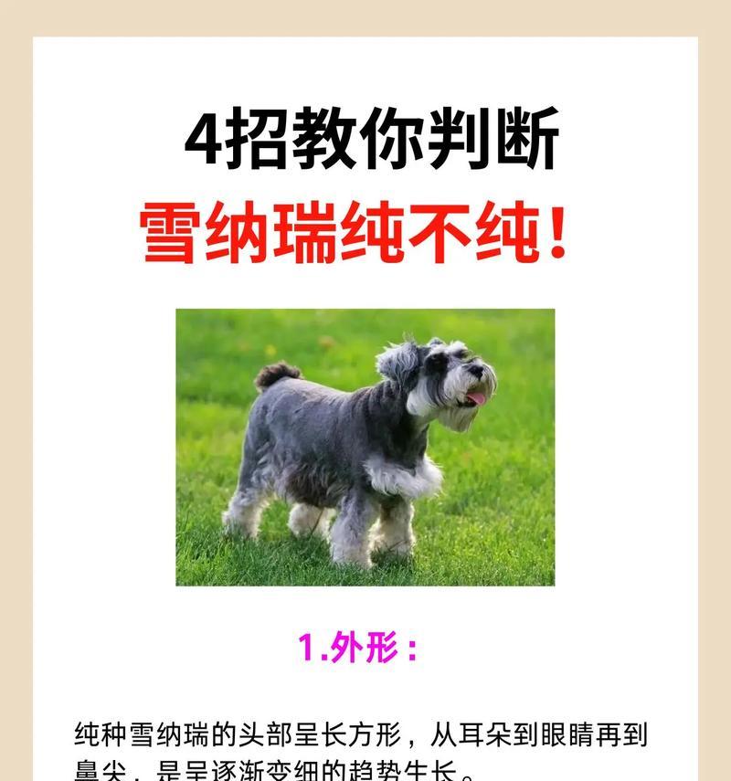 雪纳瑞冬季剃毛刀头选择标准是什么？