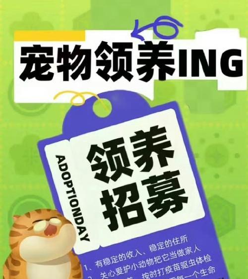 免费领养猫咪需购买猫粮的常见陷阱？
