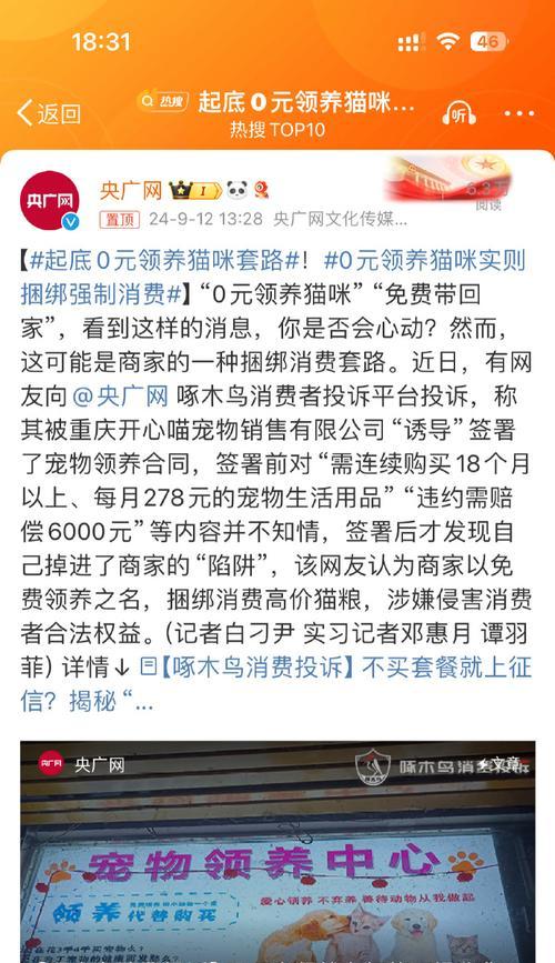 免费领养猫咪需购买猫粮的常见陷阱？