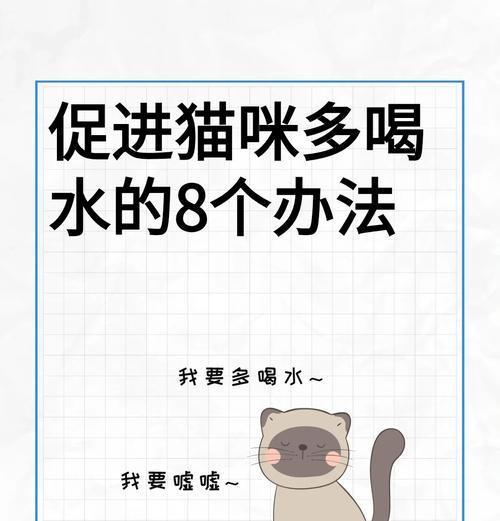 猫喝水习惯与猫粮选择有何关联？